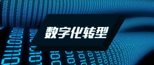 企業數字化轉型 勢在必行之路與Datatist的數字化賦能角色