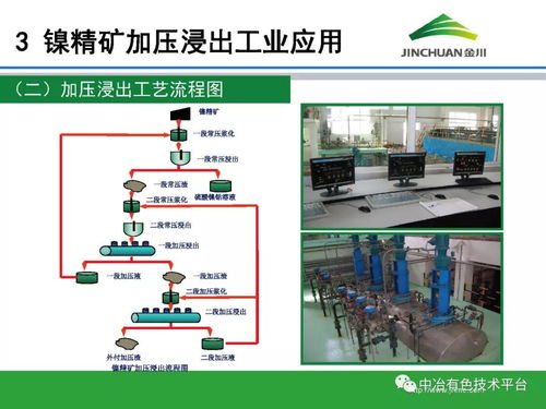強強聯手 加壓浸出技術在金川鎳鈷冶煉的工業化應用